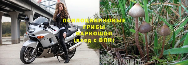 синтетический гашиш Алексеевка