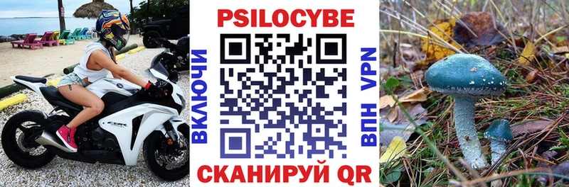 Галлюциногенные грибы MAGIC MUSHROOMS  где купить   Сельцо 